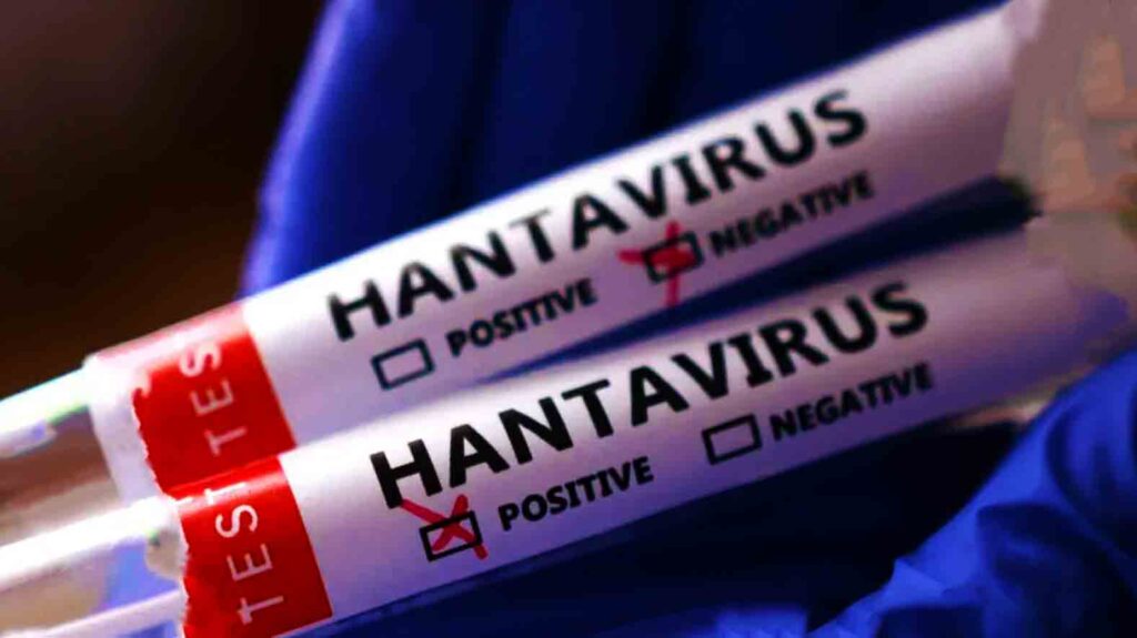 hantavirüs